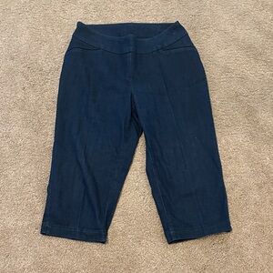 Westbound Denim Blue Jeans